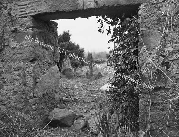 ANCIENT CROSSES AT KILKIERAN